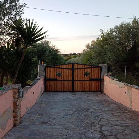 Villa Relax Tra Gli Ulivi อาลเกโร ภายนอก รูปภาพ