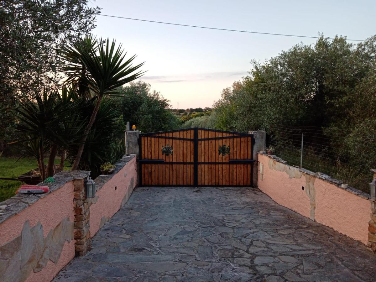 Villa Relax Tra Gli Ulivi อาลเกโร ภายนอก รูปภาพ