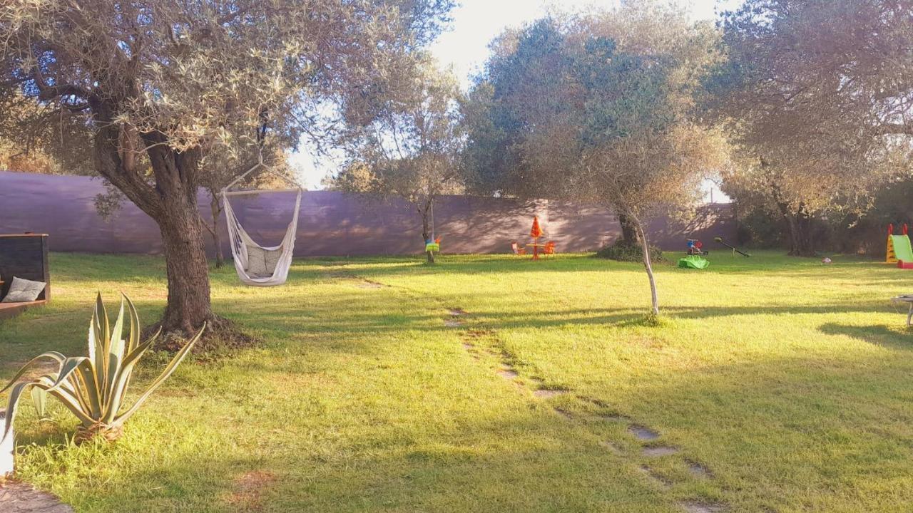 Villa Relax Tra Gli Ulivi อาลเกโร ภายนอก รูปภาพ