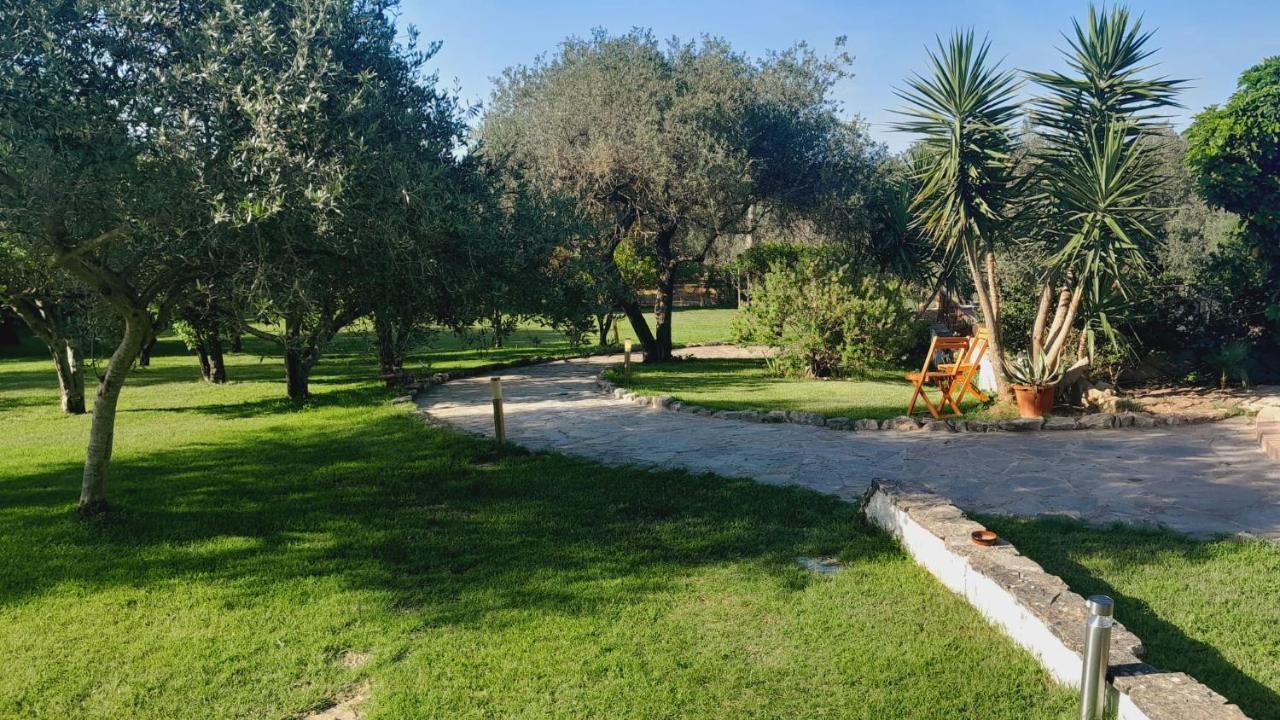 Villa Relax Tra Gli Ulivi อาลเกโร ภายนอก รูปภาพ